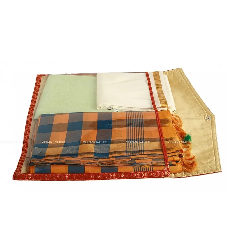 Silk Cotton Transparent Saree Pouch