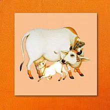 House cowcalf Orange 