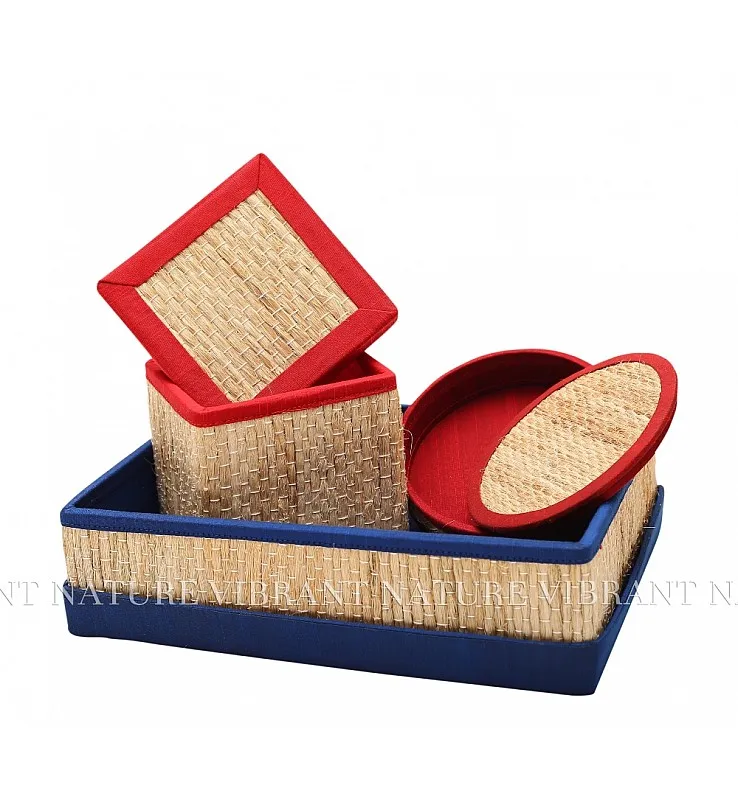 Sisal (Aloe Vera family) Grand Combo